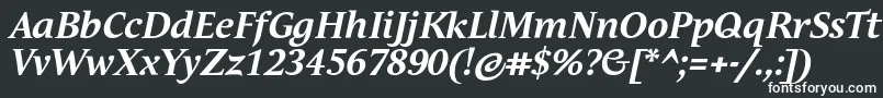 AndulkaTextProBoldItalic-fontti – valkoiset fontit