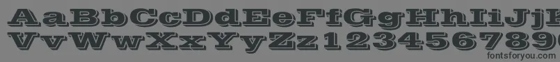 VineraWd Font – Black Fonts on Gray Background