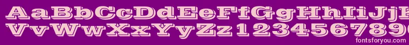 VineraWd Font – Pink Fonts on Purple Background