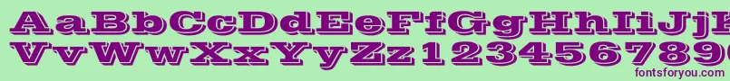 VineraWd Font – Purple Fonts on Green Background