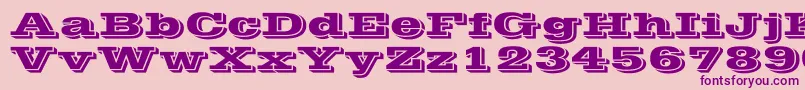 VineraWd Font – Purple Fonts on Pink Background