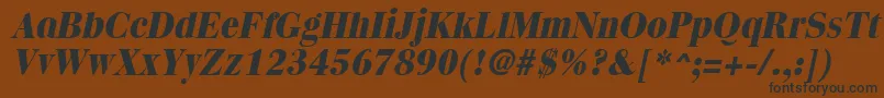 QuantasextraboldItalic Font – Black Fonts on Brown Background