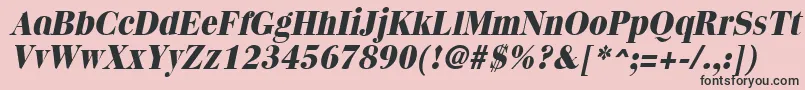 QuantasextraboldItalic Font – Black Fonts on Pink Background