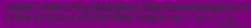 QuantasextraboldItalic Font – Black Fonts on Purple Background