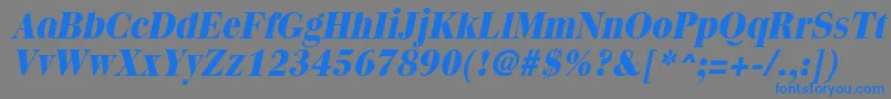 フォントQuantasextraboldItalic – 灰色の背景に青い文字