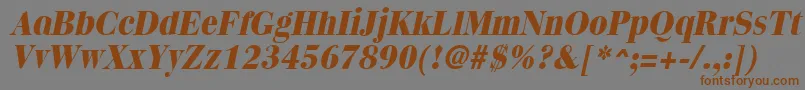 QuantasextraboldItalic Font – Brown Fonts on Gray Background