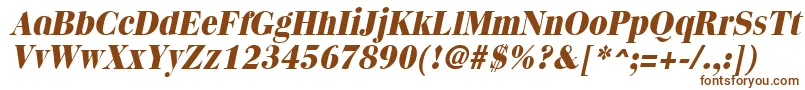 QuantasextraboldItalic Font – Brown Fonts