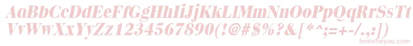 QuantasextraboldItalic Font – Pink Fonts on White Background
