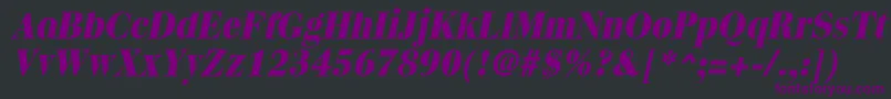 QuantasextraboldItalic Font – Purple Fonts on Black Background