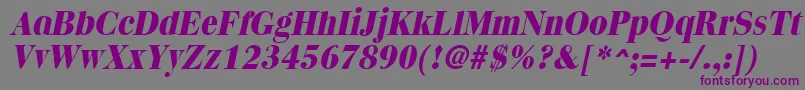 QuantasextraboldItalic Font – Purple Fonts on Gray Background