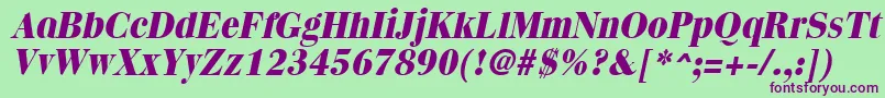 QuantasextraboldItalic-Schriftart – Violette Schriften auf grünem Hintergrund