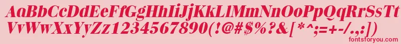 フォントQuantasextraboldItalic – ピンクの背景に赤い文字