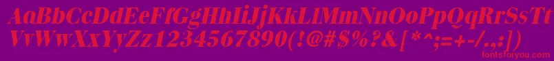 QuantasextraboldItalic Font – Red Fonts on Purple Background
