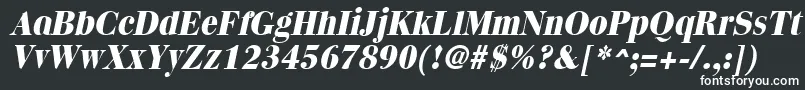 QuantasextraboldItalic Font – White Fonts