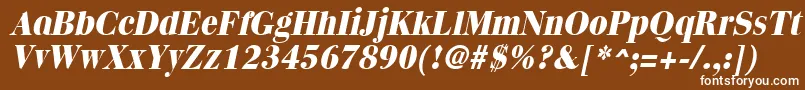 QuantasextraboldItalic Font – White Fonts on Brown Background