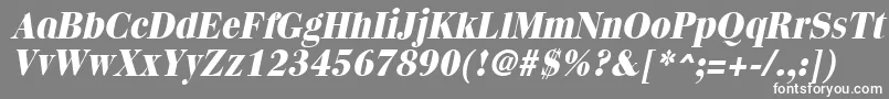 QuantasextraboldItalic-Schriftart – Weiße Schriften auf grauem Hintergrund