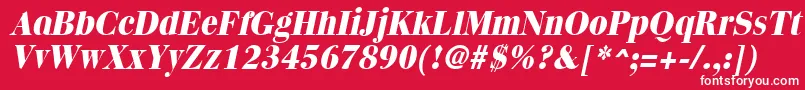 QuantasextraboldItalic Font – White Fonts on Red Background