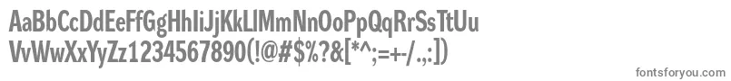 DynagroteskrcBold Font – Gray Fonts on White Background
