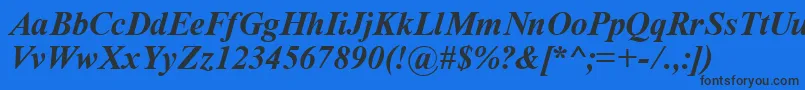 TimeRomanBoldItalic Font – Black Fonts on Blue Background