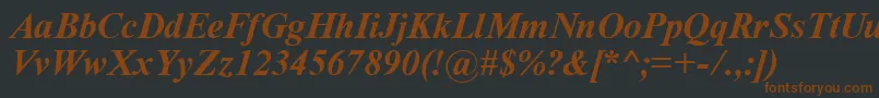 TimeRomanBoldItalic Font – Brown Fonts on Black Background