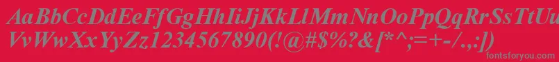 フォントTimeRomanBoldItalic – 赤い背景に灰色の文字