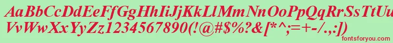 TimeRomanBoldItalic Font – Red Fonts on Green Background