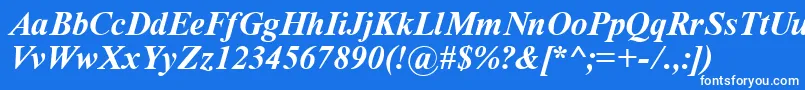 フォントTimeRomanBoldItalic – 青い背景に白い文字