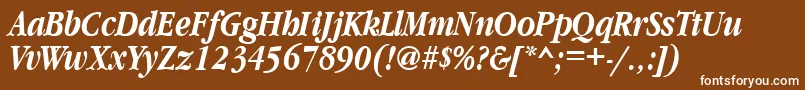 GaramondnarrowcttBolditalic Font – White Fonts on Brown Background