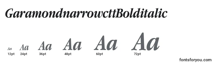 GaramondnarrowcttBolditalic Font Sizes