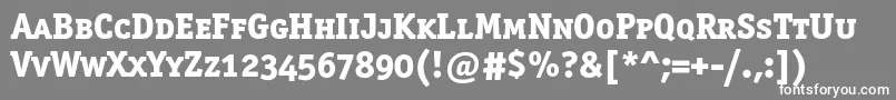 Officinaserifextraboldscc Font – White Fonts on Gray Background