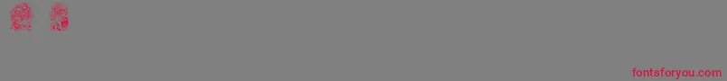 Babysbreathstpatsregular Font – Red Fonts on Gray Background
