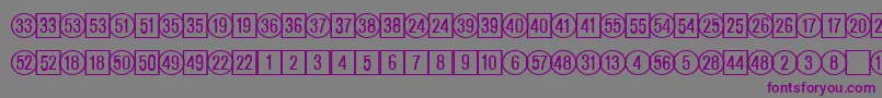 CatalognumbersRegularDb Font – Purple Fonts on Gray Background