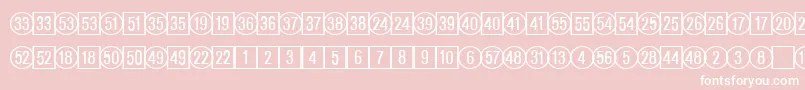 CatalognumbersRegularDb Font – White Fonts on Pink Background