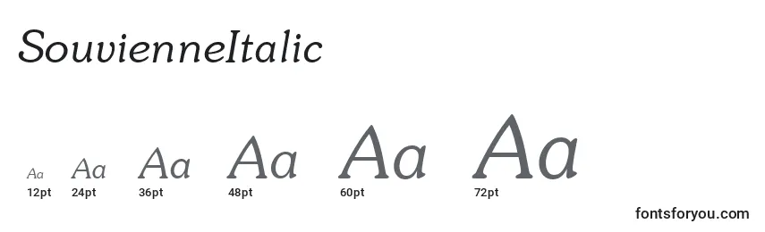 Размеры шрифта SouvienneItalic