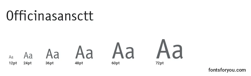 Officinasansctt Font Sizes