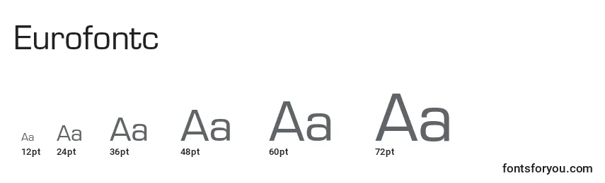 Eurofontc Font Sizes