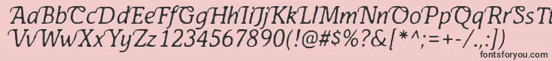 AntihistoryItalic Font – Black Fonts on Pink Background