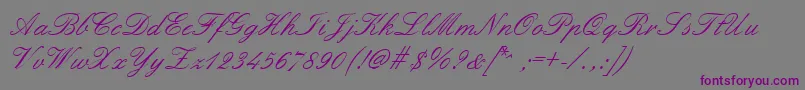 Formalscript Font – Purple Fonts on Gray Background