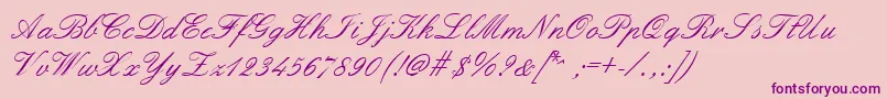 Formalscript Font – Purple Fonts on Pink Background