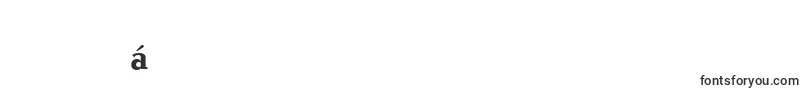 CandidaLtBold Font – Burmese Fonts