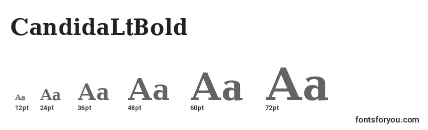 CandidaLtBold Font Sizes