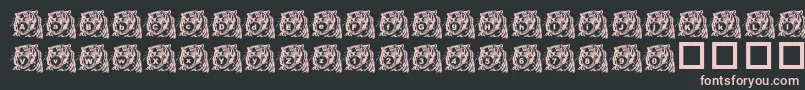 LmsTigerToy Font – Pink Fonts on Black Background