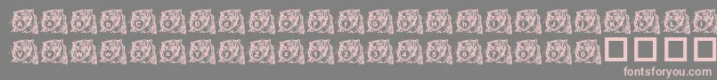LmsTigerToy Font – Pink Fonts on Gray Background