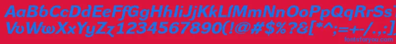 DynagroteskrxeBolditalic Font – Blue Fonts on Red Background