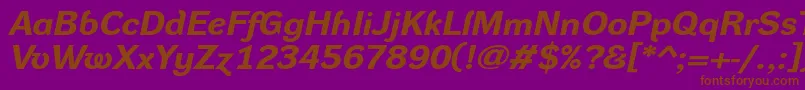 DynagroteskrxeBolditalic Font – Brown Fonts on Purple Background