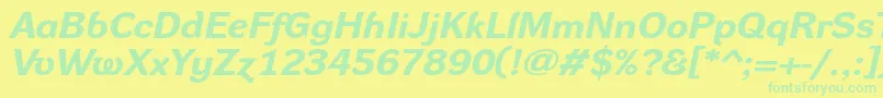 DynagroteskrxeBolditalic Font – Green Fonts on Yellow Background