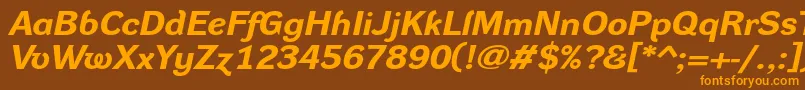 DynagroteskrxeBolditalic Font – Orange Fonts on Brown Background