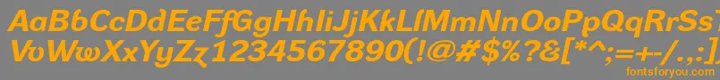 フォントDynagroteskrxeBolditalic – オレンジの文字は灰色の背景にあります。