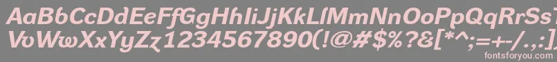 DynagroteskrxeBolditalic Font – Pink Fonts on Gray Background