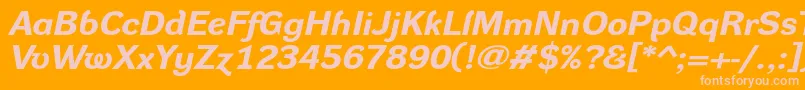 DynagroteskrxeBolditalic Font – Pink Fonts on Orange Background